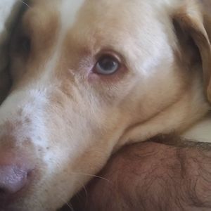 Meet your Posher, Ann